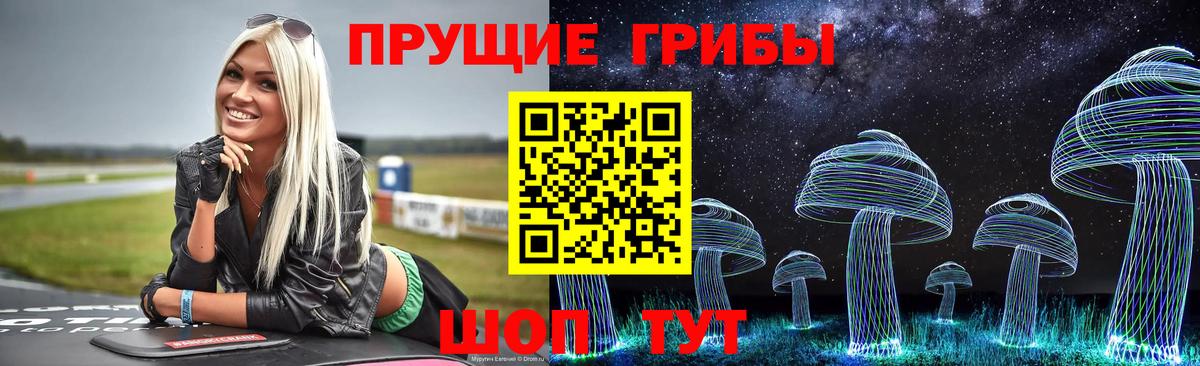 где найти   Галлюциногенные грибы Psilocybine cubensis  Вход с VPN  Туймазы 