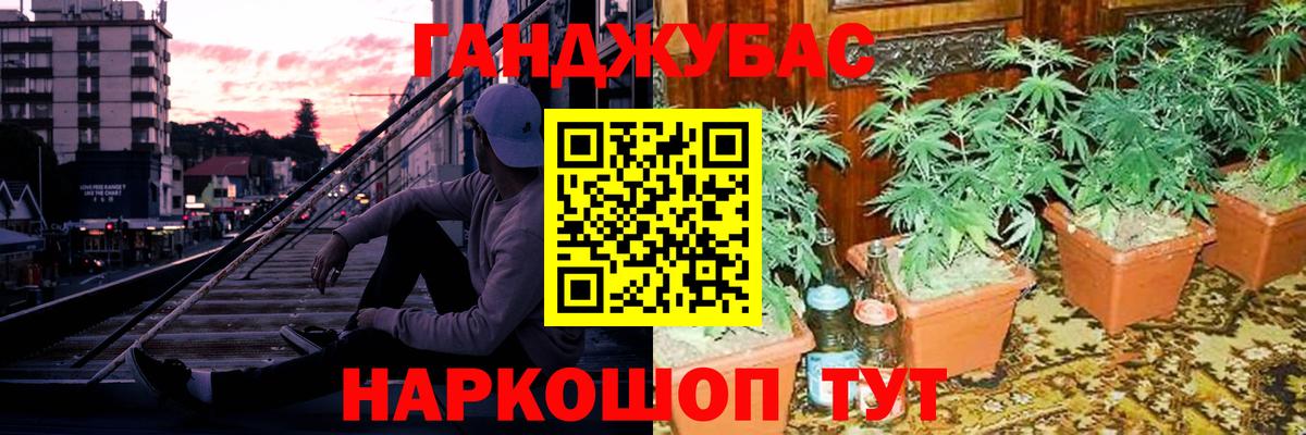 Каннабис индика Туймазы